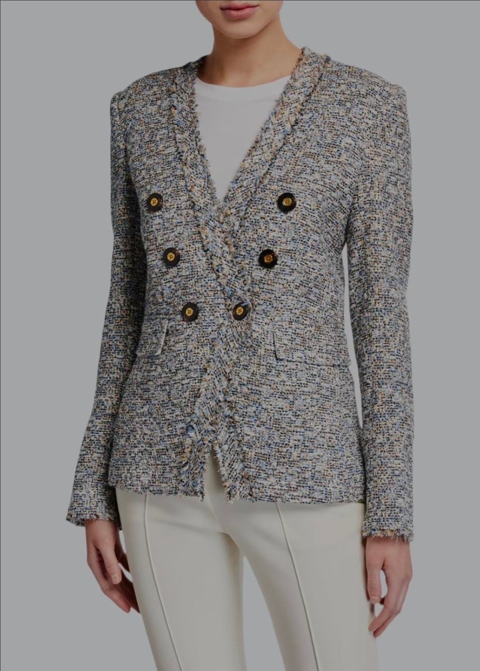 Veronica Beard Cedric Tweed Dickey Blue Blazer Double Breasted Large NWT Preppy